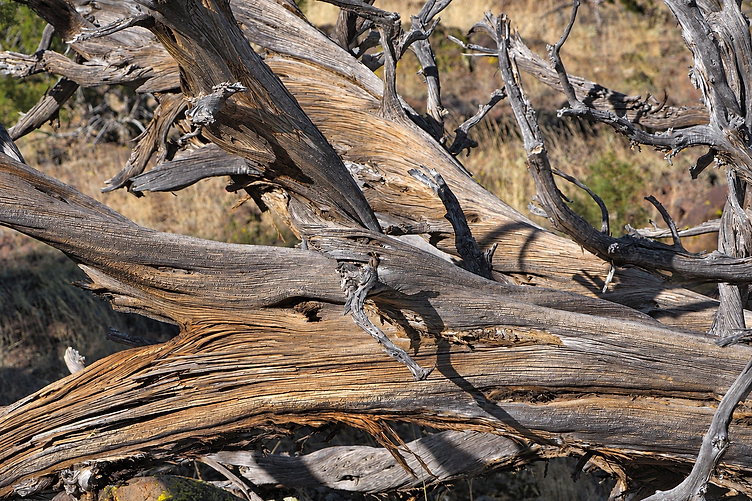 Smith Butte Ranch land, view 18