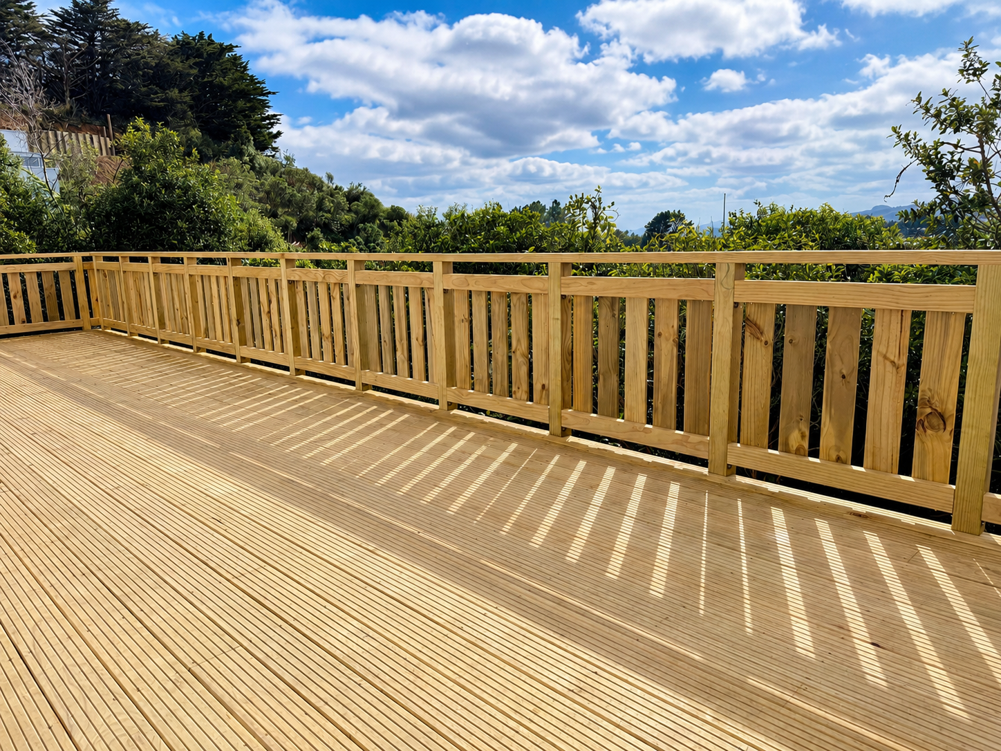 New Deck — Railing & Bush Outlook