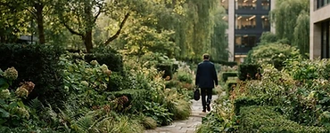 Lush landscaped commercial garden