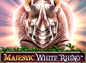 Majestic White Rhino
