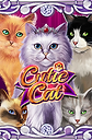 Cutie Cat