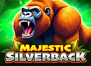 Majestic Silverback