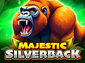Majestic Silverback