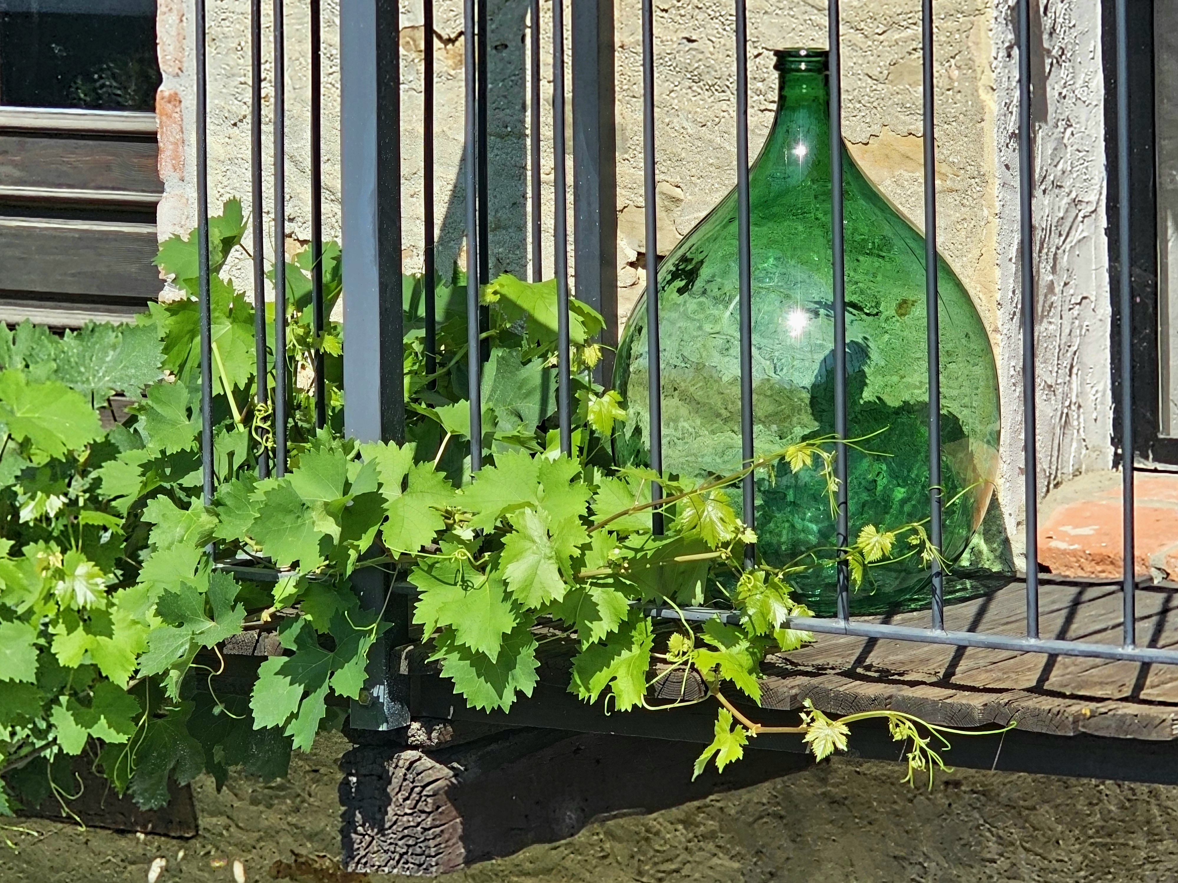 Glasflasche — green glass carboy on the terrace