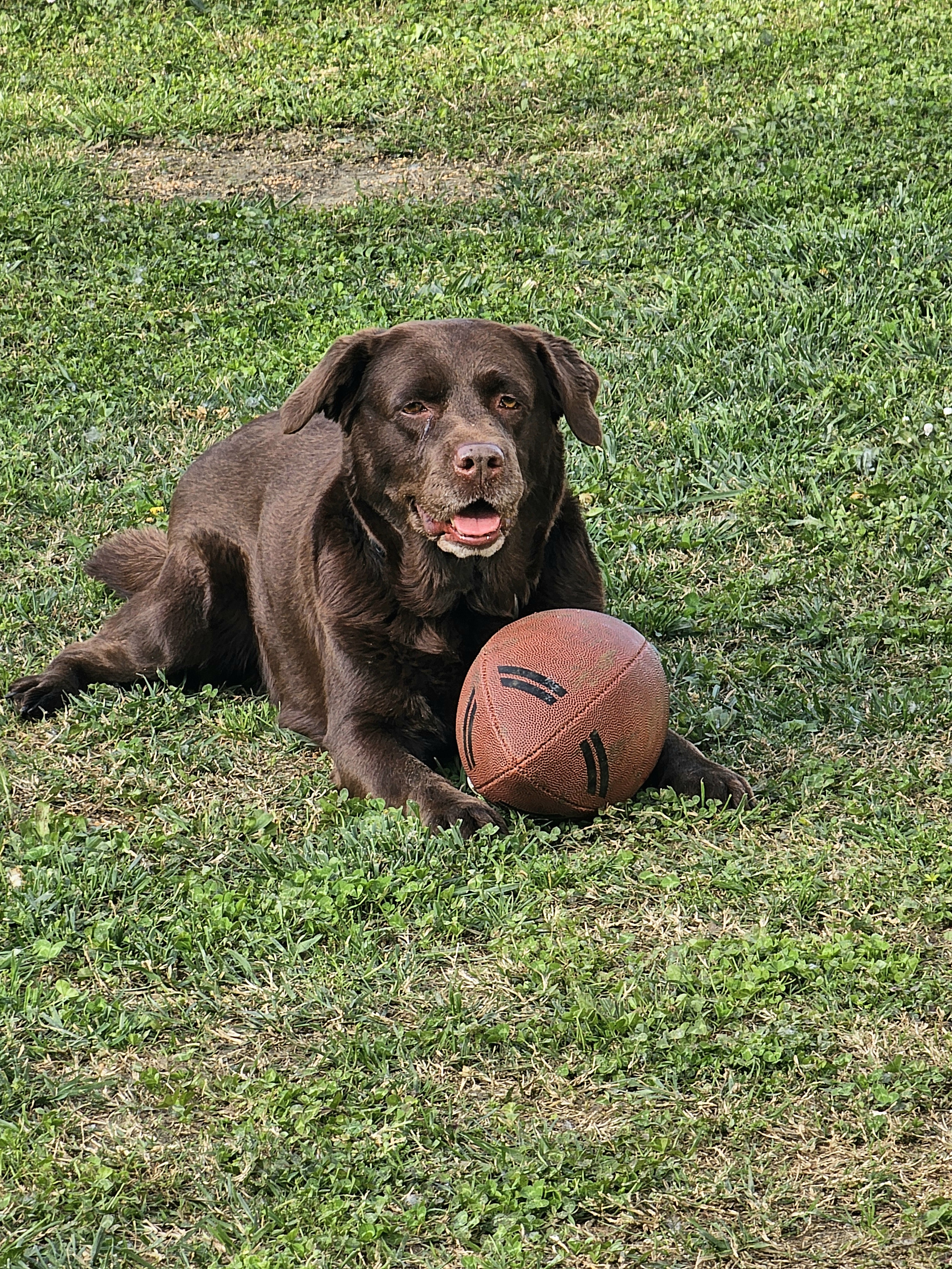 Raya — our watchdog
