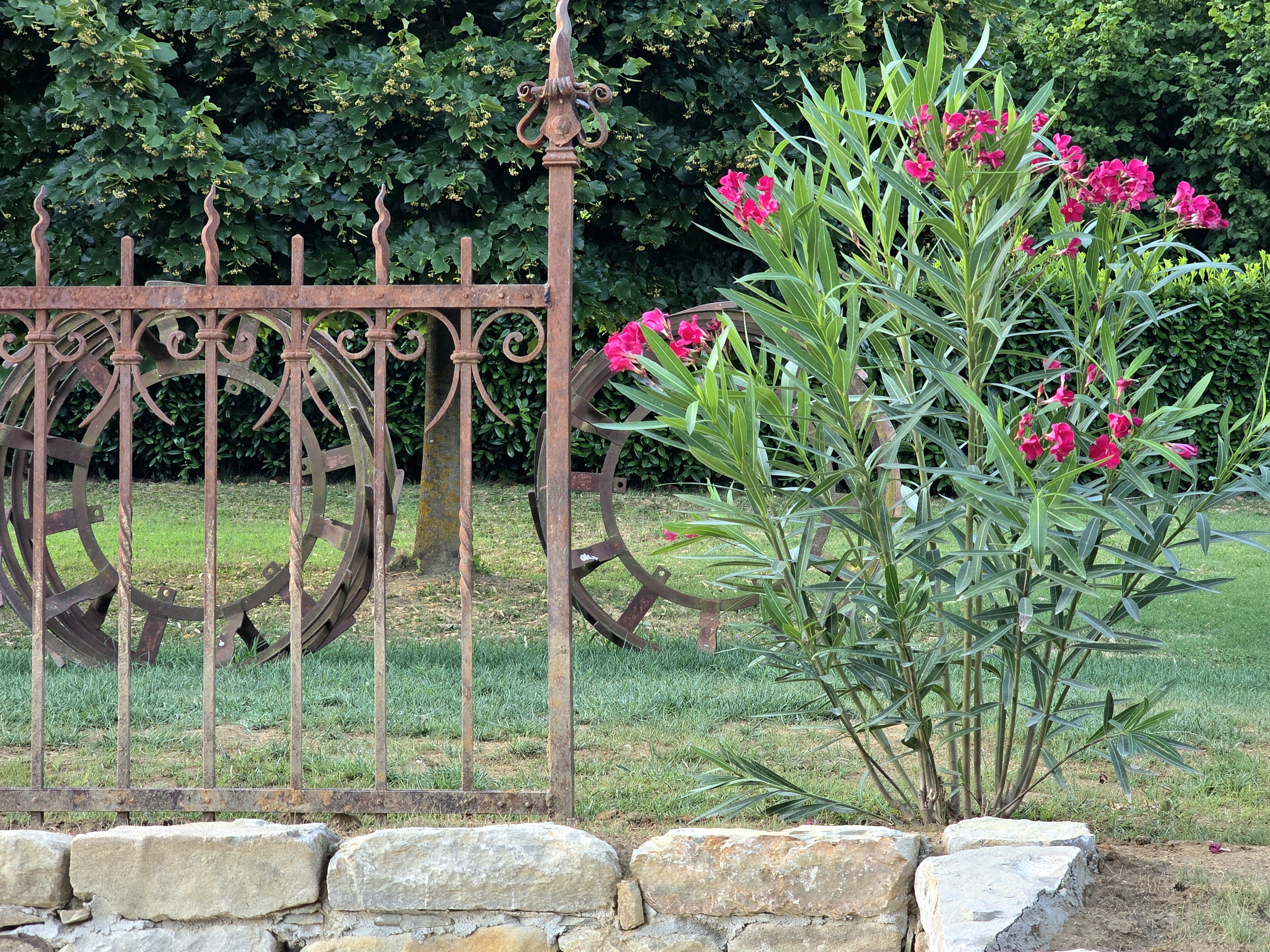 Iron and flowers