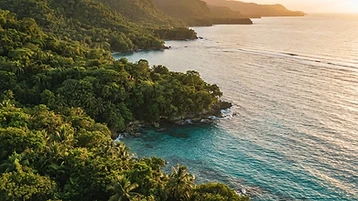 Ascending the Canopy: A Guide to Mystic Mountain, Jamaica