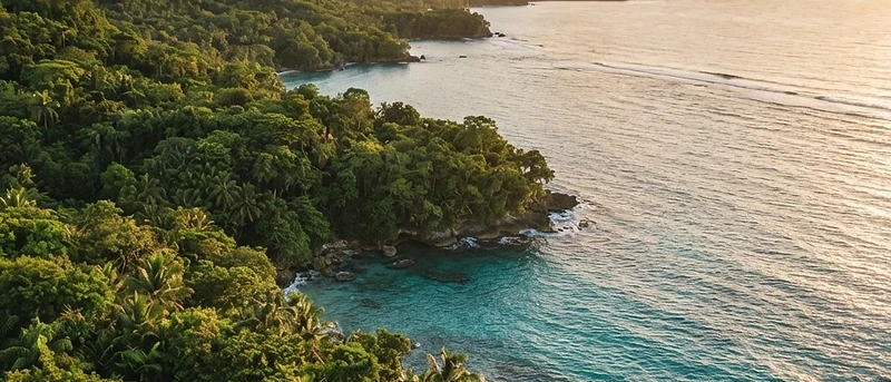 Ascending the Canopy: A Guide to Mystic Mountain, Jamaica
