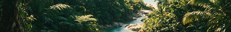 Excursions & Tours