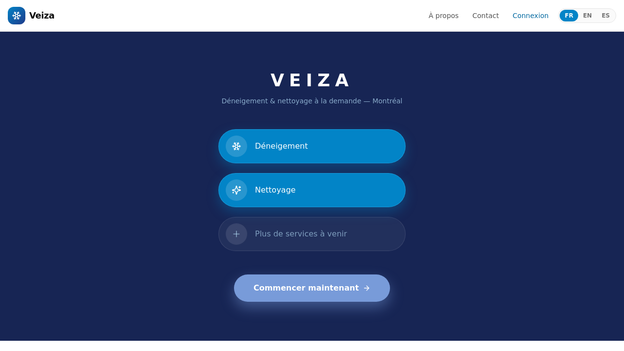 Veiza.online template preview