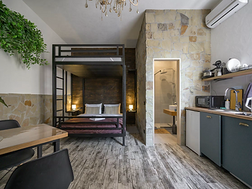 Luxury Apartment in Lviv Centrum