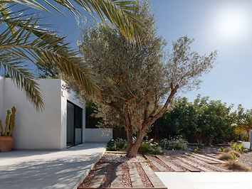 Can Romaní Juanes House