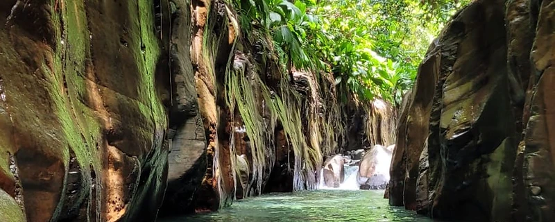 Canyon Moustique