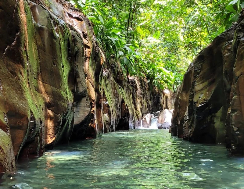 Canyon Moustique