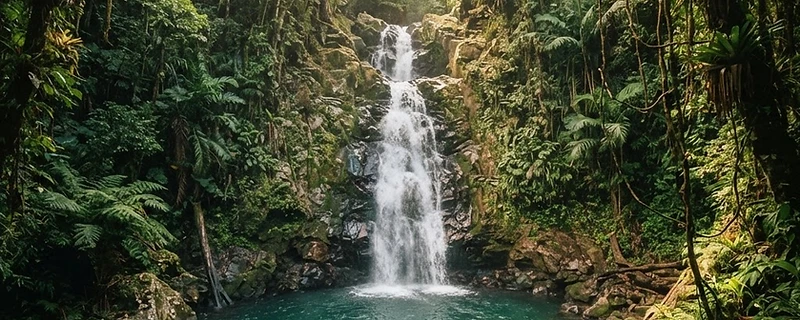 Saut de la Lézarde