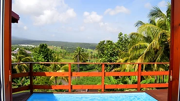 Private pool facing the canopy