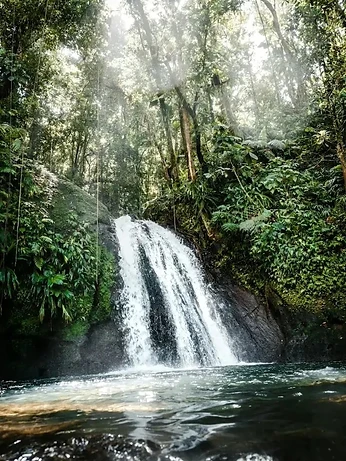 Écrevisses Waterfall
