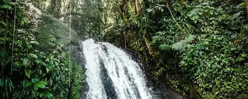 Écrevisses Waterfall