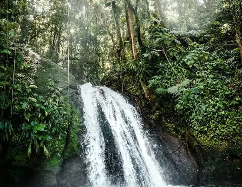 Écrevisses Waterfall