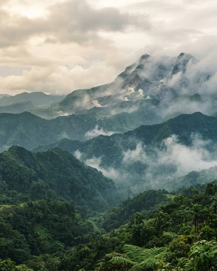 La Soufrière and the Basse-Terre rainforest bathed in morning mist