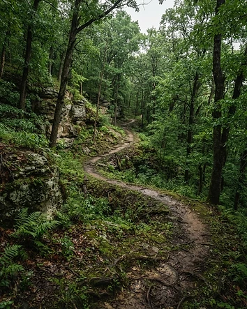 Holzinger Lodge Trails