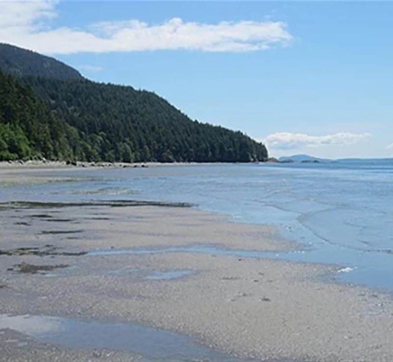 Tidal flats and evergreen shoreline of Lummi Island, Washington