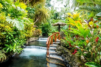 Tropical hot springs and lush rainforest foliage in Costa Rica
