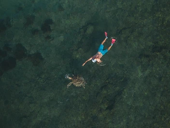 Snorkeling with a sea turtle off the Costa Rica coast