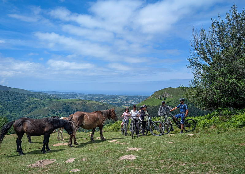 Sortie à vélo dans les montagnes basques, au milieu des pottoks