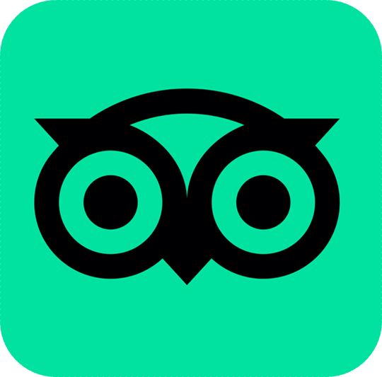 tripadvisor