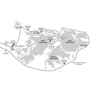 Falklands in Focus