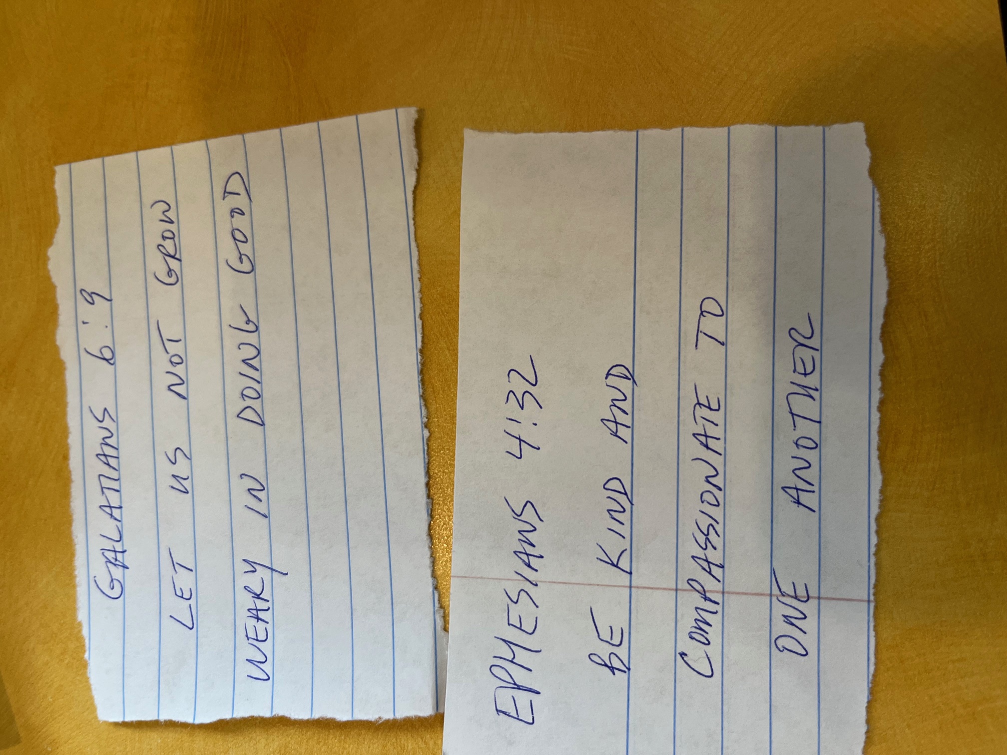 Verse scraps with Galatians 6:9 and Ephesians 4:32 handwritten on torn paper