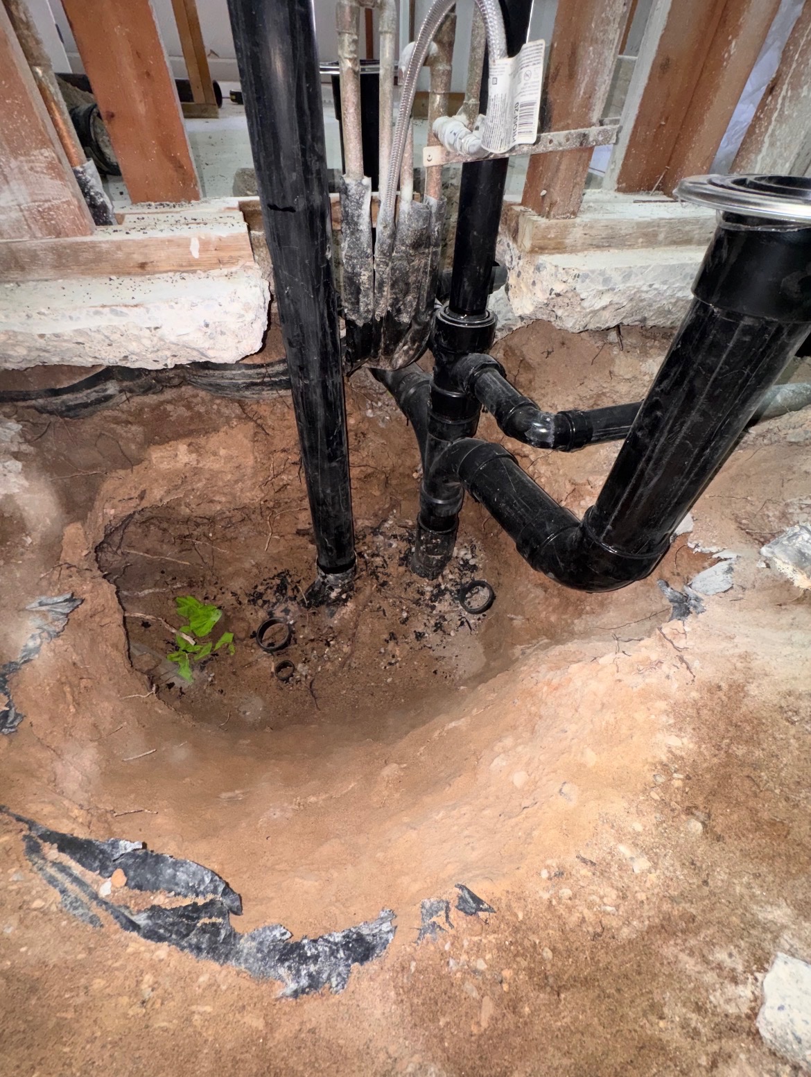 Drain-Line Repairs project by Second Opinion Plumbing