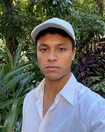 $29 generator output — tropical garden portrait