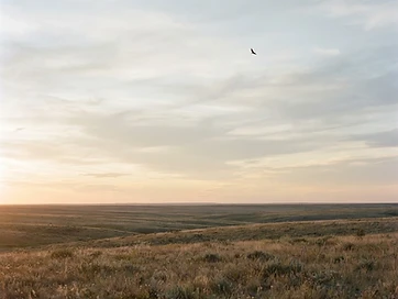 A vast open sky meeting a distant prairie horizon at golden hour