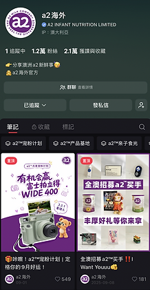 a2 海外