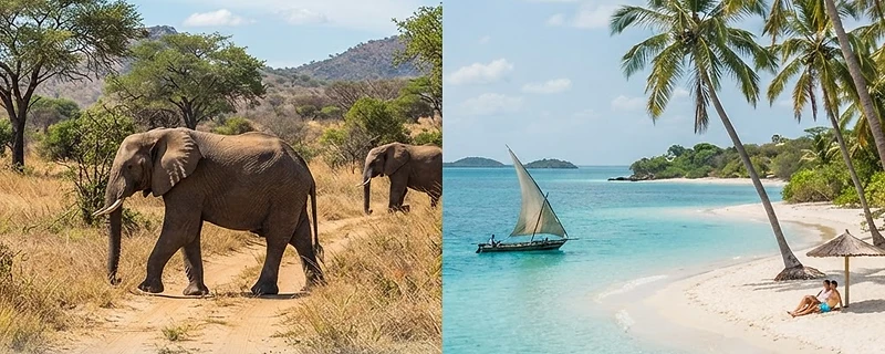Safari and Beach: The Ultimate Mozambique Combo Trip
