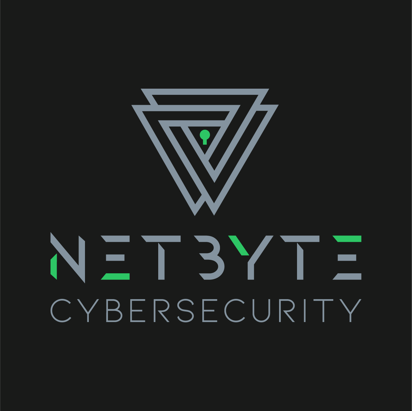 NETBYTE Cybersecurity