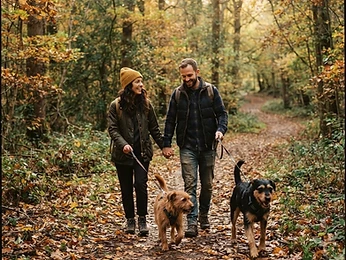 Maple & Birch, a Mixed Breed