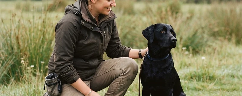 A handler rewarding a dog during a training session outdoors