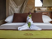 Safari tent interior with a towel swan and branded bed runner
