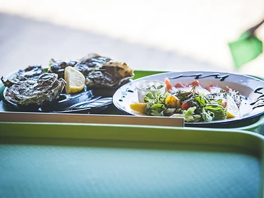 Plateau huîtres et salade