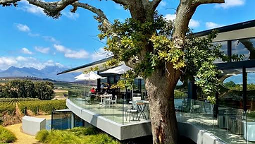 Louisvale Wines estate