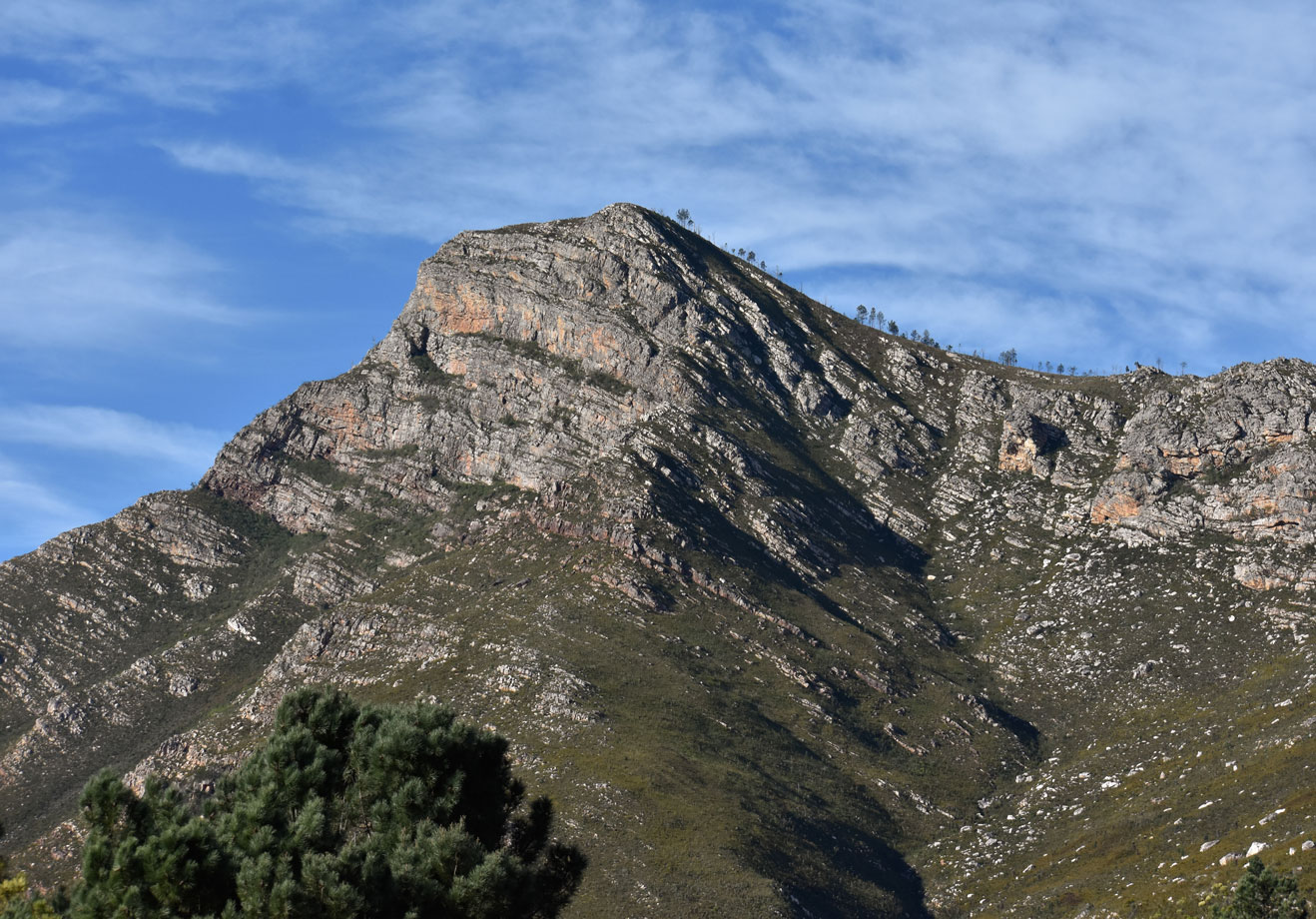 Herold Wines accommodation in Garden Route