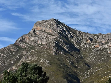 Herold Wines accommodation in Garden Route
