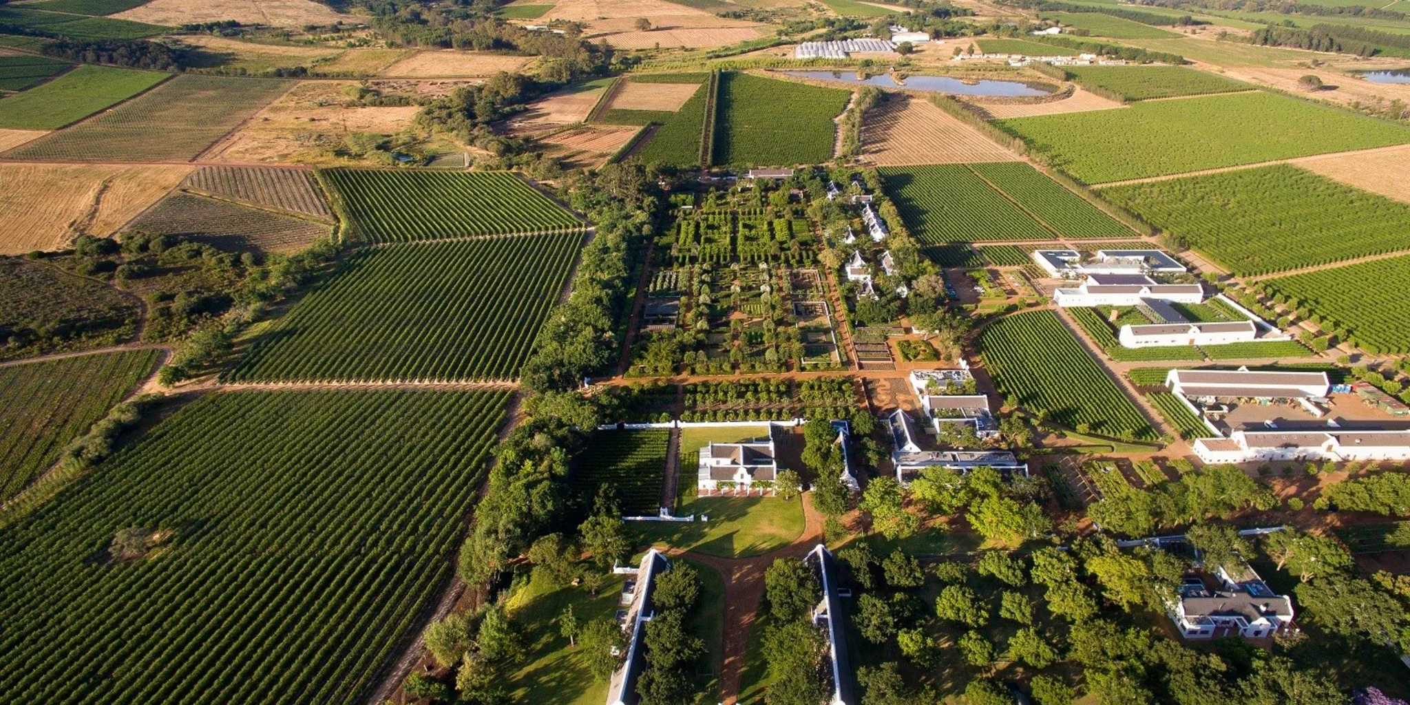 #wineestateoftheweek: Visit Babylonstoren