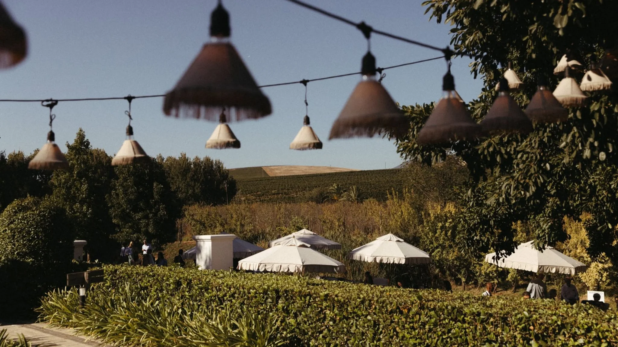 View from Brenaissance Wine Estate, Stellenbosch