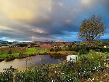 Radford Dale – Weingut in Elgin