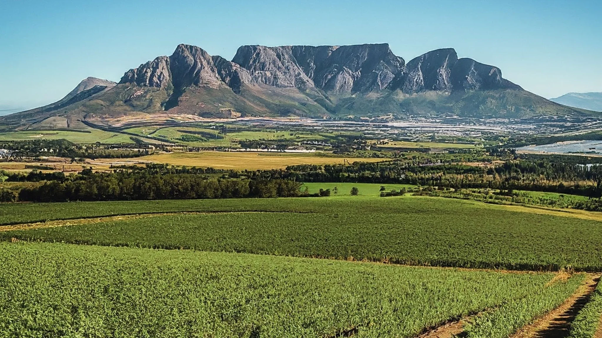 Exploring Durbanville Wine Route: What to Do and Where to Go