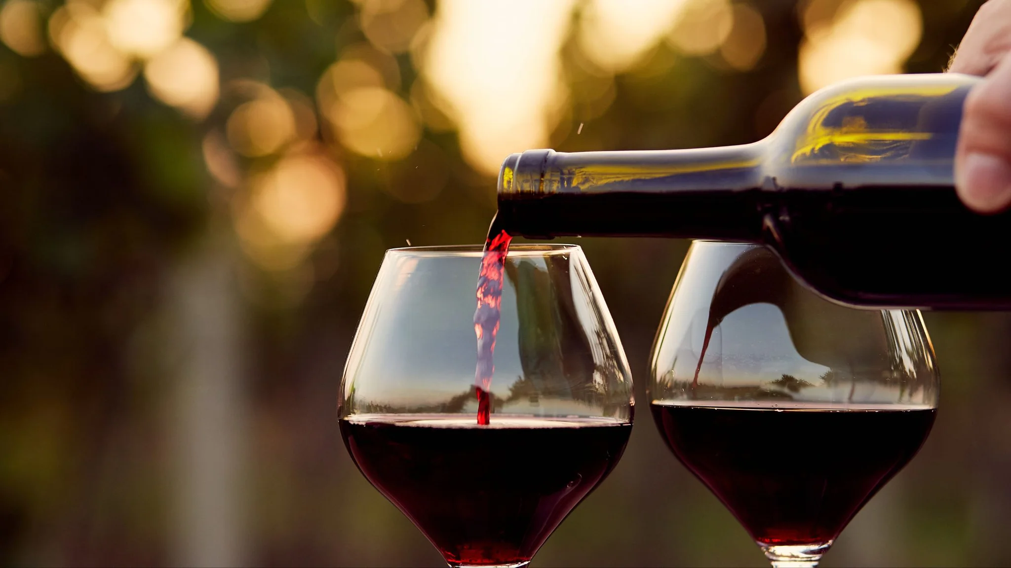 What Are Tannins in Wine? A Beginner’s Guide